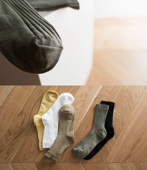 ash color golji socks[양말BA235] 5color_free size안나앤모드